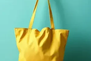 Bolsa Família
