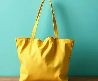 Bolsa Família