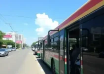 ônibus grátis nas eleições
